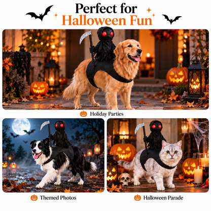 Halloween Costume for Dogs & Cats