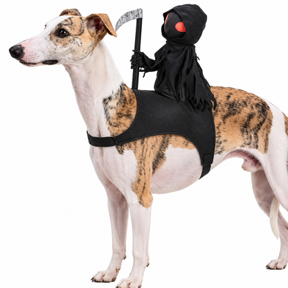 Halloween Costume for Dogs & Cats